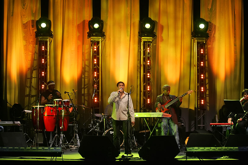chester_yellow2