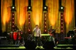 chester_yellow2